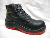 C ROMANOS IP03 P N 25 AL 30