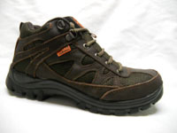 C ROYAL 810 N C 25 AL 29.5