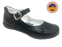 D CLEO 21488 S N 22 AL 25.5