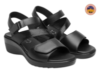 D FLEXI 116023 P N 23 AL 26