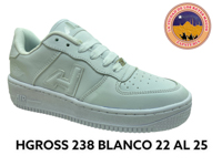 TJ HGROSS 238 S B 22 al 26
