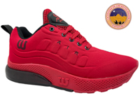 TJ WISDOM 1755 T R 22 al 26