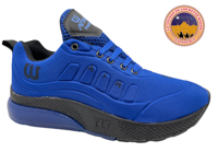 TJ WISDOM 1755 T Y 22 al 26