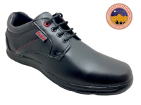 J ADRIANO 437 S N 22 AL 25.5