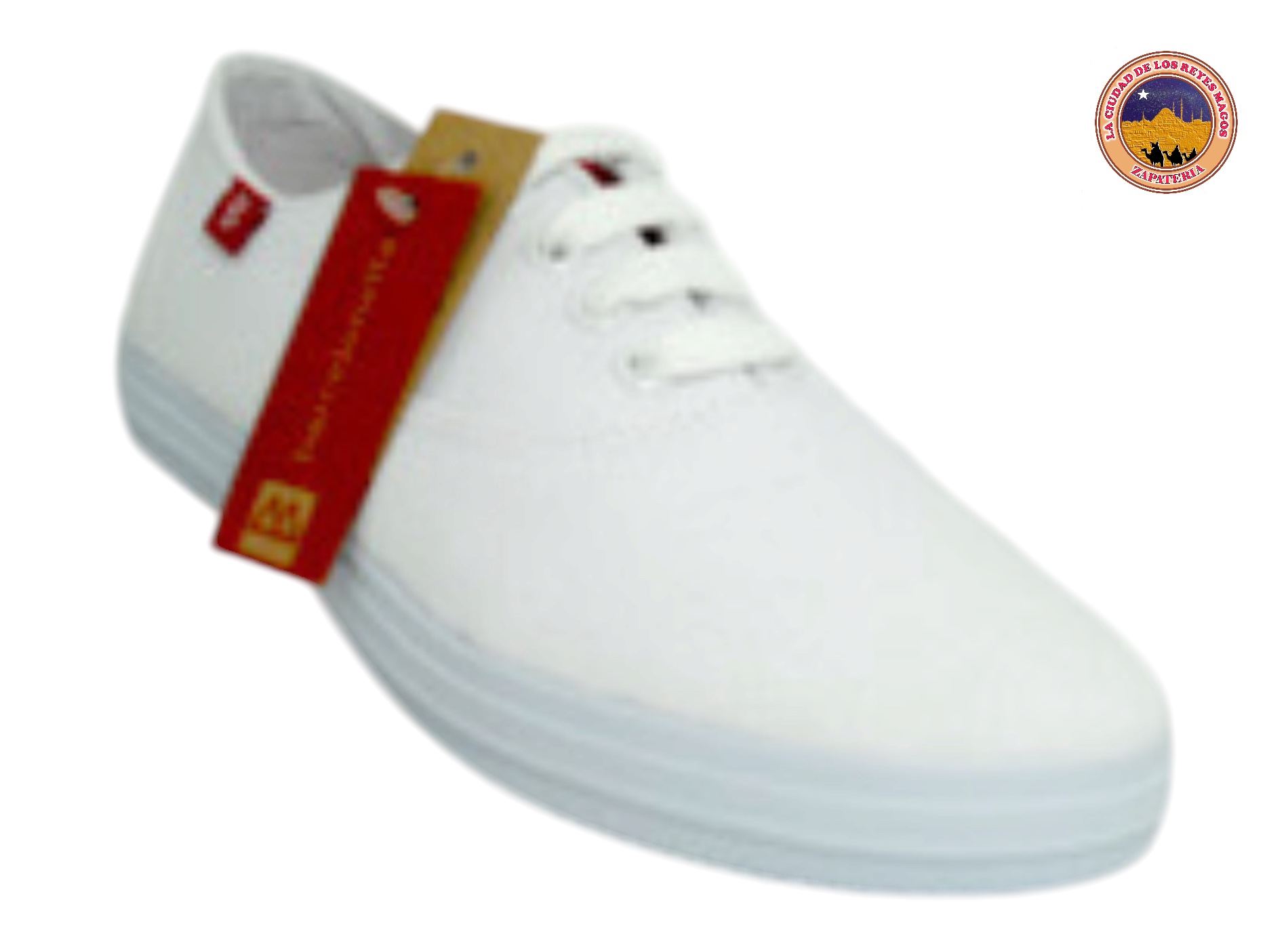 TD BARCELONETTA P01A L B 22 al 25 E
