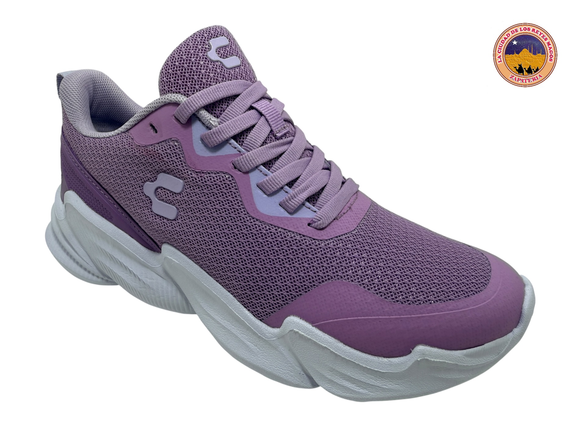 CHARLY 1043190 MORADO 22 al 26