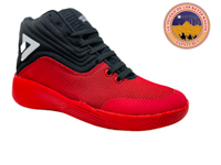 TC SAETTA 6070 S R N 25 AL 29
