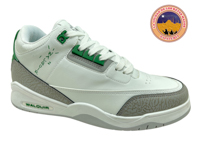 TC WALQUIR 250 S B D 25 AL 28.5