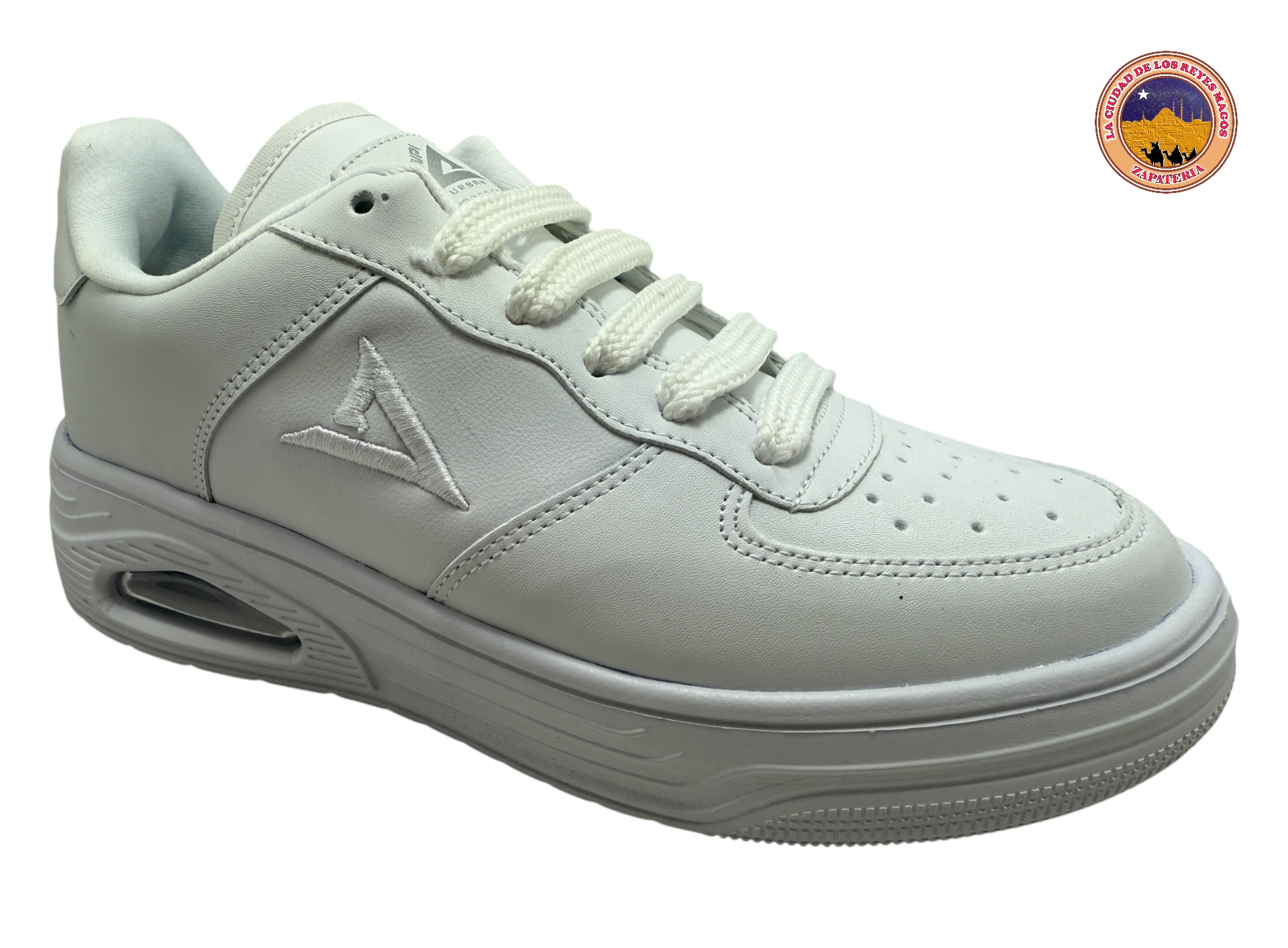 TJ VANPI 480 S B 22 AL 25.5