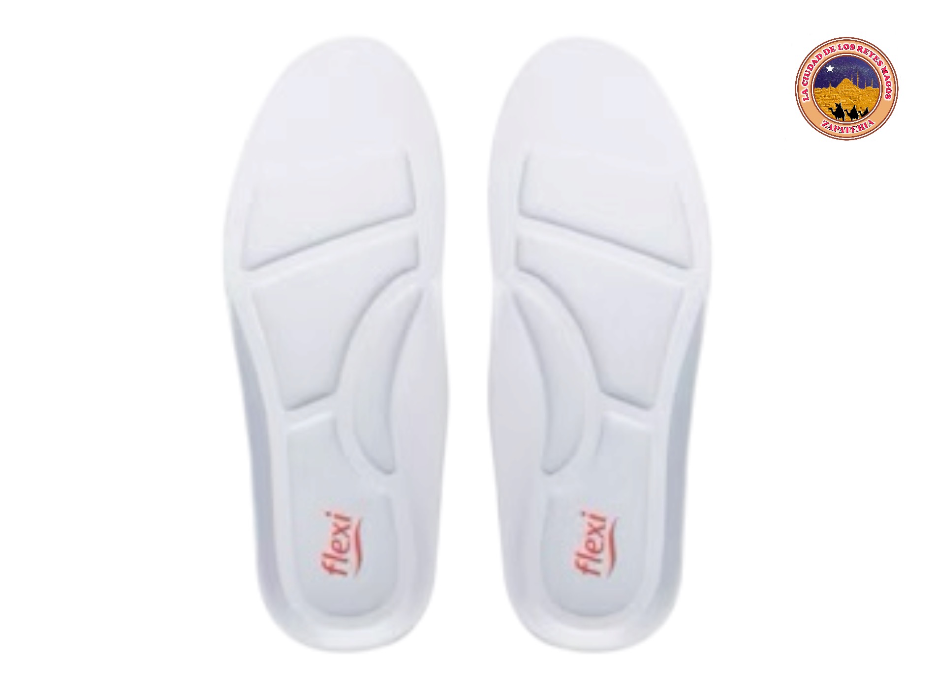 PLANTILLA ANATOMICA FLEXI 23 AL 29 E