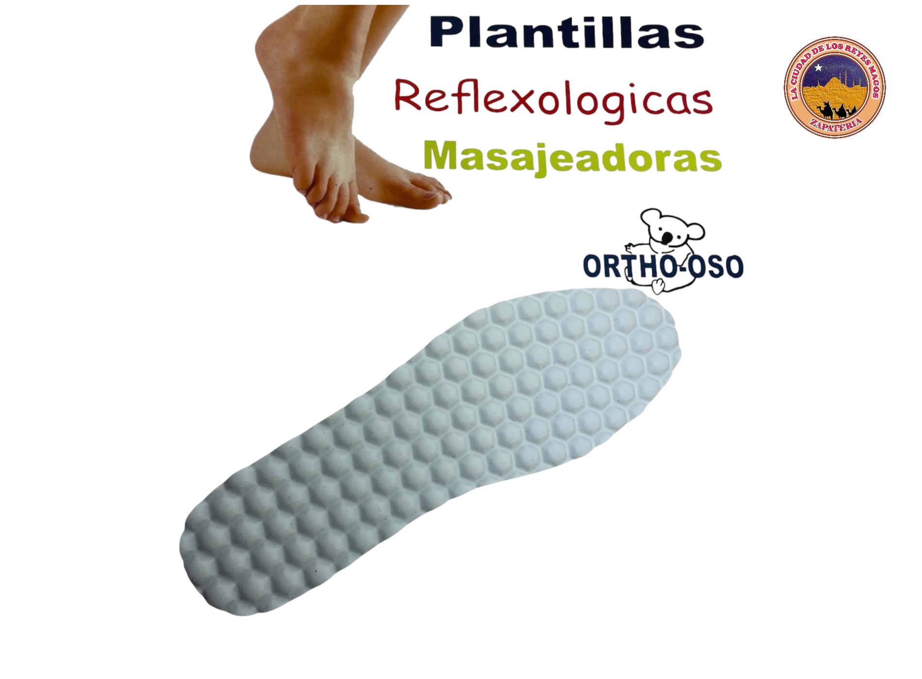 PLANTILLA OSO MASAJEADORA 22 AL 30 E